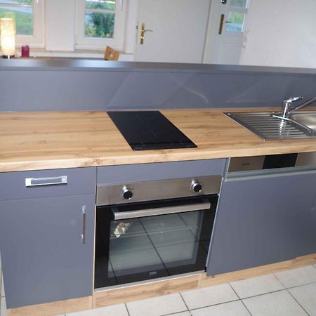 Ferien-Wohnung Am Menzer-Park Neckargemund Luaran gambar